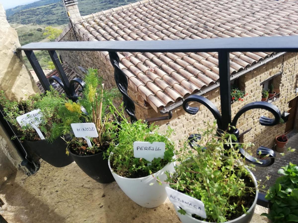 Ferienhaus Pilarrana *
